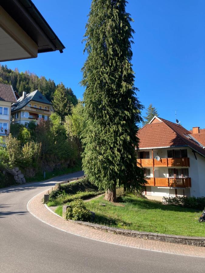 Haus Sonne Todtmoos Exterior foto